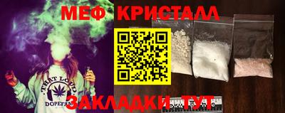 крисы Можга