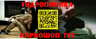 крисы Можга