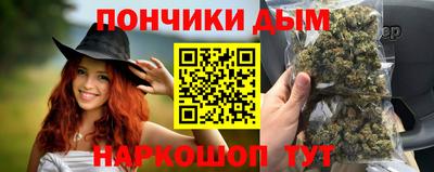 крисы Можга