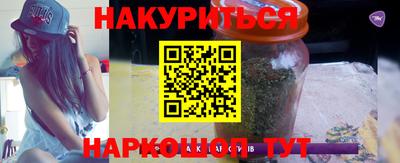 крисы Можга