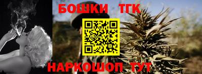 крисы Можга