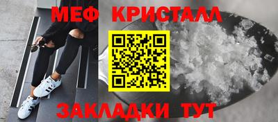 крисы Можга