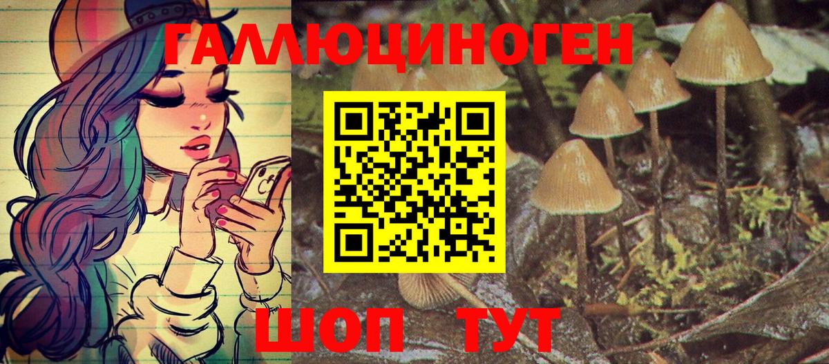Псилоцибиновые грибы GOLDEN TEACHER  Вход с VPN  Гай 